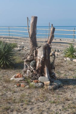 Kumsaldaki kuru odun ve taşların bileşimi.