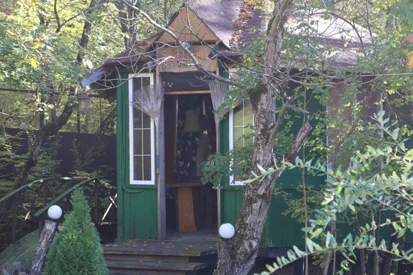 Wooden house among the trees