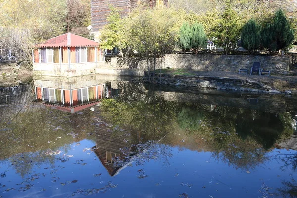 Wooden house on the edge of the pond