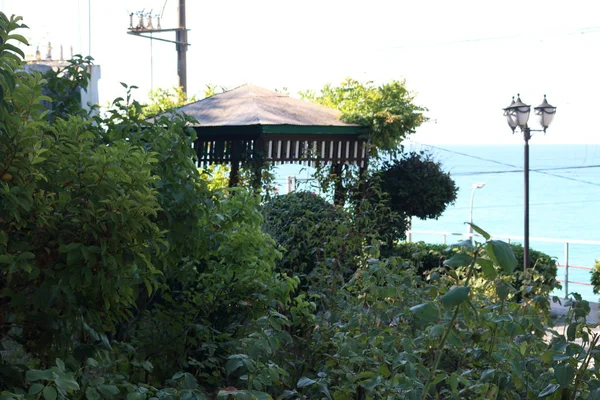 Belvédère Arbres Lanterne Sur Fond Mer — Photo