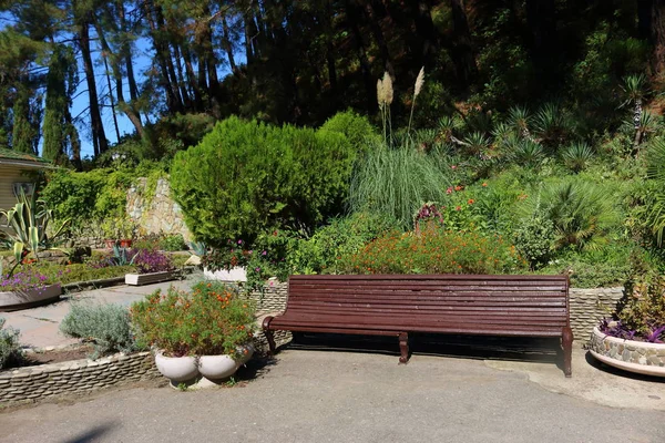 Banc Bois Dans Parc Banc Bois Près Jardin Fleuri — Photo