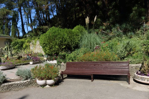 Wooden bench in the park. Wooden bench near the flower garden