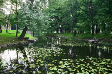 Parktaki gölette ağaçların arasında