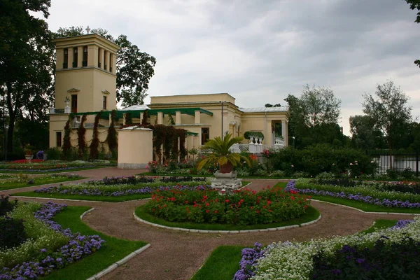 Bloemenbed Met Verschillende Kleuren Een Palmboom — Stockfoto