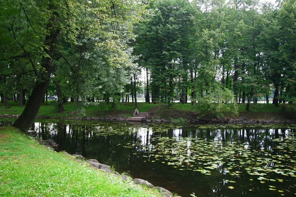 Lagoa Parque Entre Árvores — Fotografia de Stock