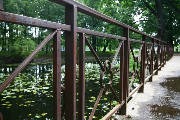 Fragment Railing Bridge Pond Park Trees — Stock Photo, Image