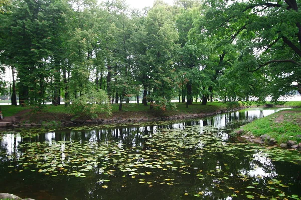 Lagoa Parque Entre Árvores — Fotografia de Stock