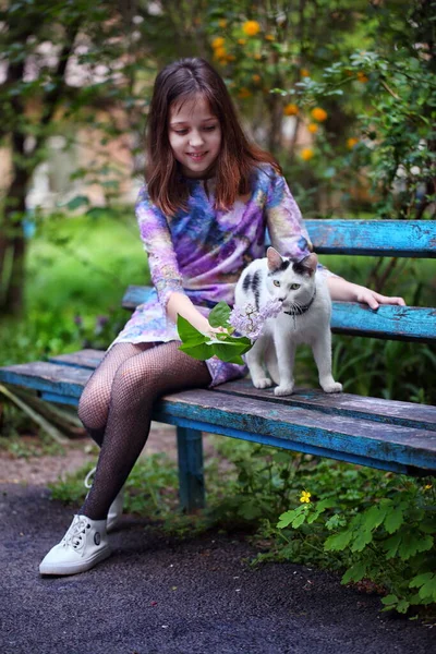 Flicka Med Katt Och Lila Kvist — Stockfoto