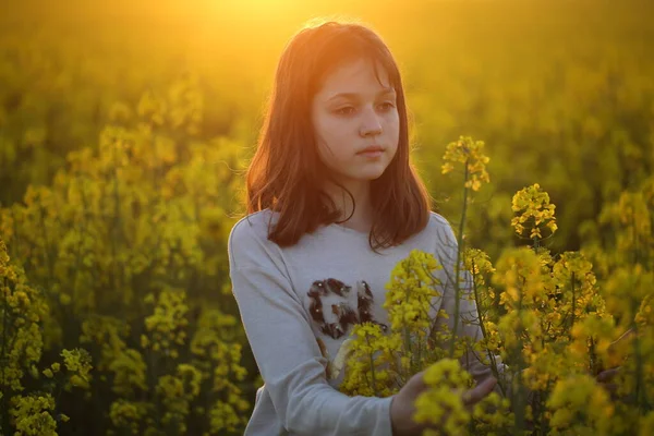 Hermosa Chica Campo Floreciente Colza Atardecer — Foto de Stock