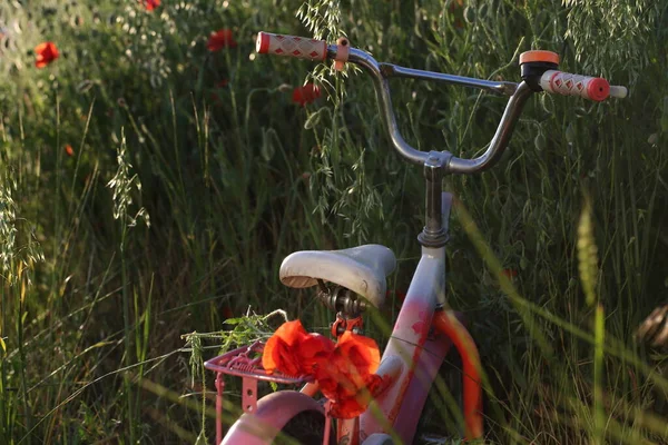 Bukiet Maków Bagażniku Roweru — Zdjęcie stockowe