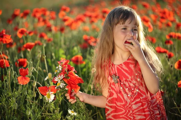 Fille Dans Champ Avec Des Coquelicots Manger Des Fraises — Photo