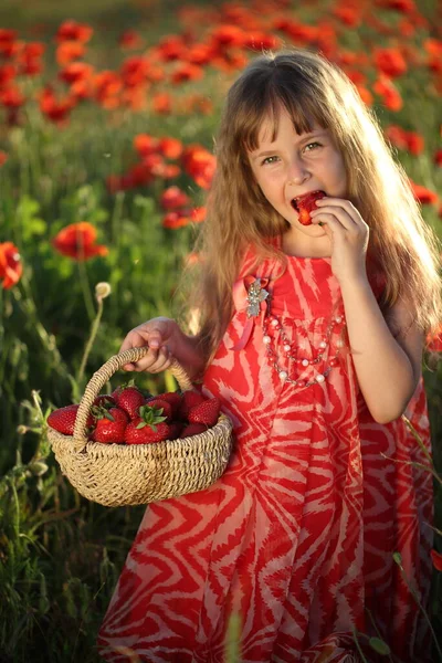 Chica Campo Con Amapolas Comiendo Fresas — Foto de Stock
