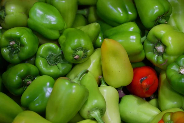 Bulgarian Pepper Selling Bell Peppers Farm Fair — Stock Photo, Image
