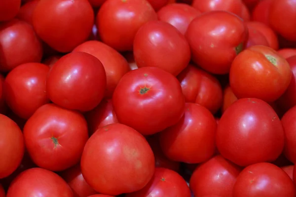 Tomates Tomates Frescos Mostrador Feria —  Fotos de Stock