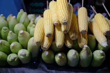 Organik mısır yanmaya hazır.