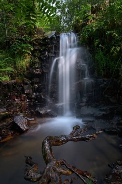 Montseny 'deki dağda şelale