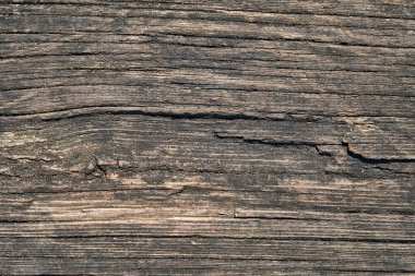 Parkın içindeki eski ahşap