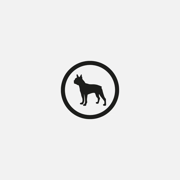 Boston Terrier Elemento Gráfico Diseño Plantilla Ilustración — Vector de stock