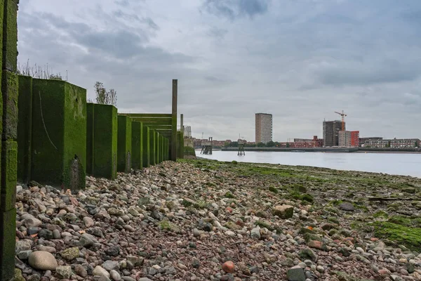 Thames Nehri, arka planda Canary Wharf, London köpekler Adası üzerinde merkezi ticari, mali çakıl Bankası 