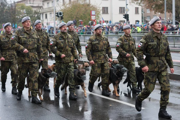 2018年10月28日 布拉格欧洲街 带着军犬的士兵正在捷克布拉格为创建100周年举行阅兵式 — 图库照片