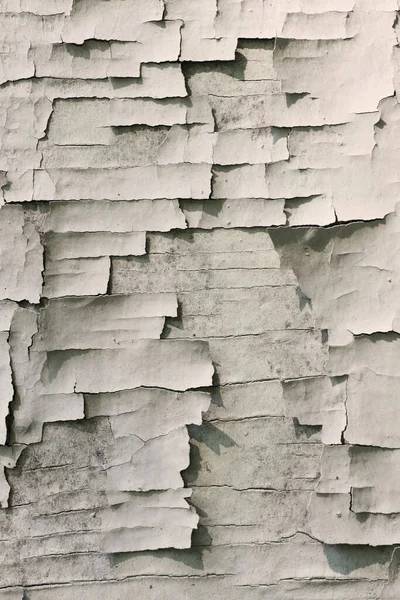 Arka plan grunge tarzı için eski kaba boya duvarı