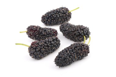 beyaz arkaplanda dut