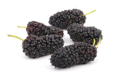 beyaz arkaplanda dut