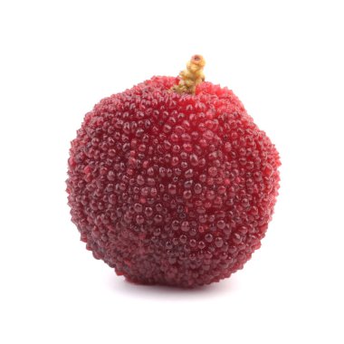 Taze Waxberry Beyaz On İzole