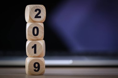 Yeni Yıl 2019