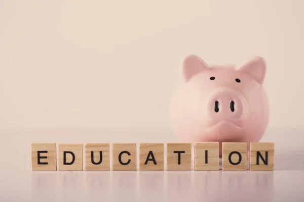 Concepto de educación Piggy Bank —  Fotos de Stock