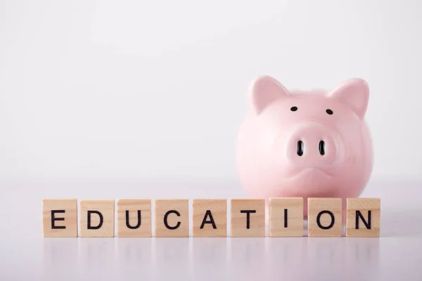 Education Concept Piggy Bank — Stock Photo, Image