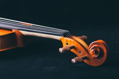 Keman Orkestrası müzik aletleri