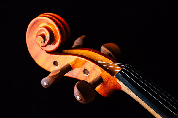 Скрипичный оркестр
