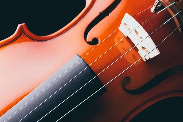 Keman Orkestrası müzik aletleri