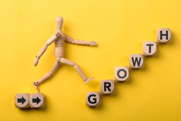 Business Growth Concept — Stock Photo, Image