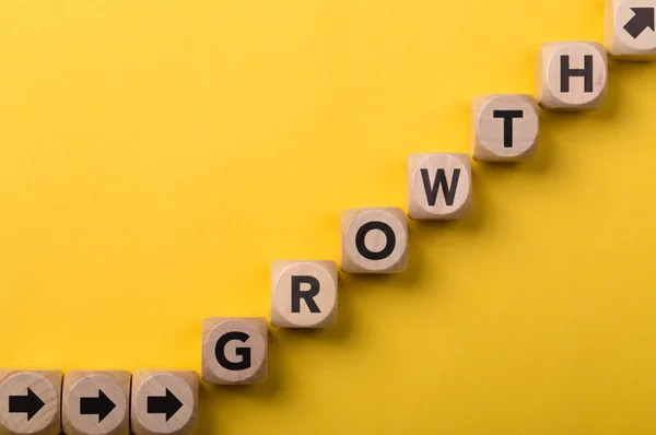 Conceito de Crescimento das Empresas — Fotografia de Stock
