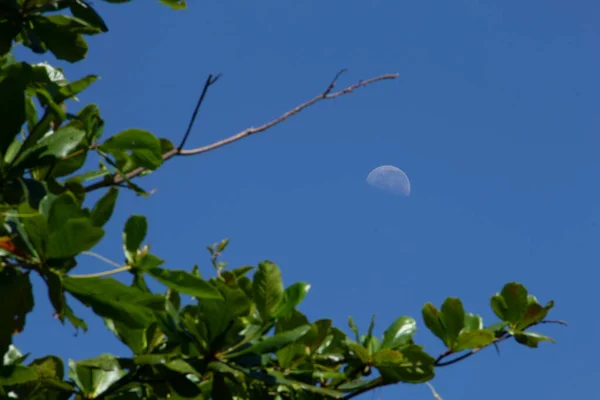 View Moon Moon Blue Sky — Stock Photo, Image