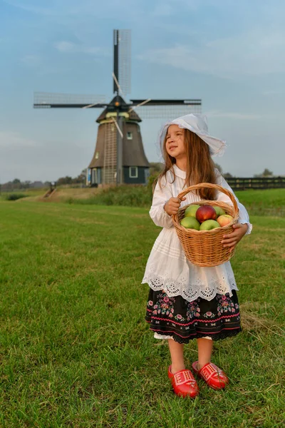 Niña Posando Prado Verde Traje Nacional Los Países Bajos — Foto de Stock