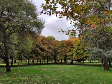 Sonbaharda ağaçlarla park et.
