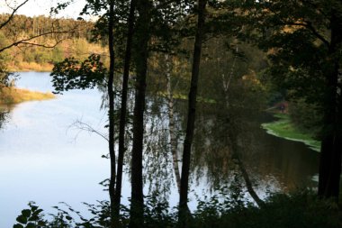 Orman gölü sonbahar manzarası. Ormandaki göl. Orman Gölü