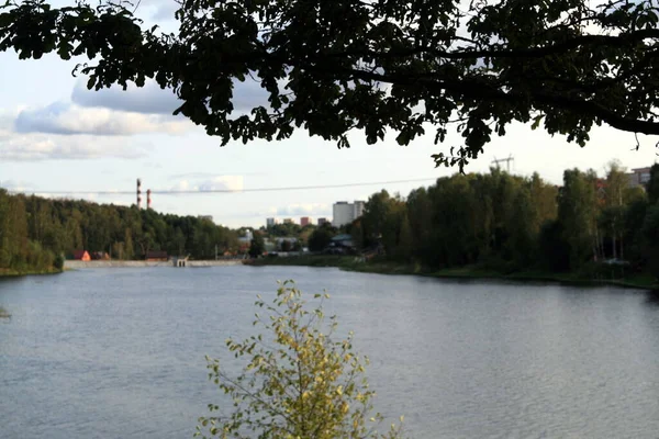 Skogssjöns Vatten Höstlandskap Sjön Skogen Skogssjö — Stockfoto