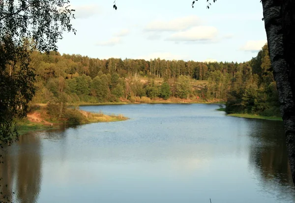 Lesní Jezero Podzimní Krajina Jezero Lese Lesní Jezero — Stock fotografie