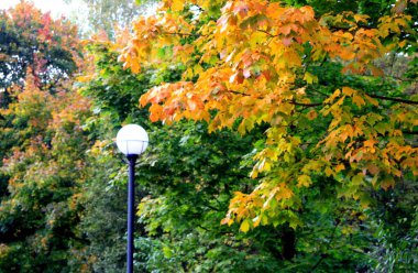 Sonbahar manzarası, fener ve renkli yapraklı ağaçlar.