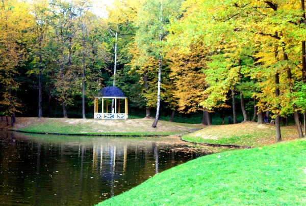 Jesienny Krajobraz Park Miejski Stawem — Zdjęcie stockowe
