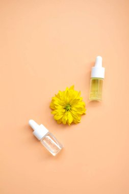 Şişedeki kozmetik yağı doğal bir arka planda yüz ve vücut için bir pipet ve doğal bir taş şeklinde bir dekorla birlikte. Metin için boşluk.