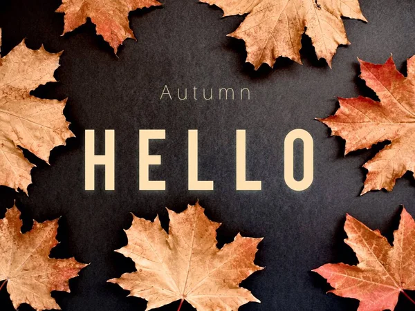 Hallo Herbst Herbstblätter Sind Golden Auf Schwarzem Hintergrund Kopierraum — Stockfoto