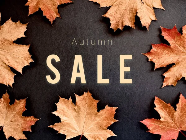 Autumn Sale Autumn Leaves Golden Black Contrasting Background Copy Space — Stock Photo, Image