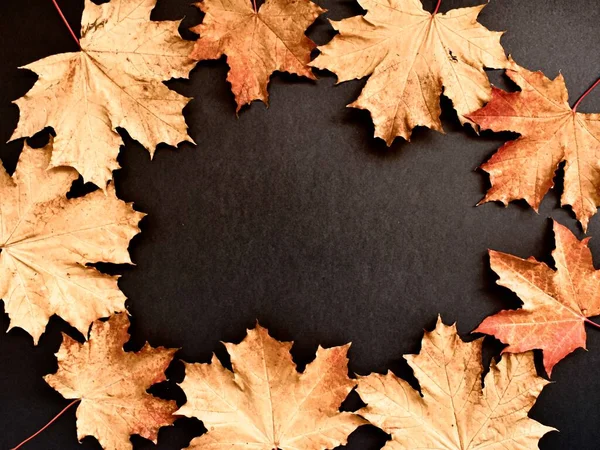 Herbstblätter Sind Golden Auf Schwarzem Hintergrund Blätterrahmen Für Text Kopierraum — Stockfoto