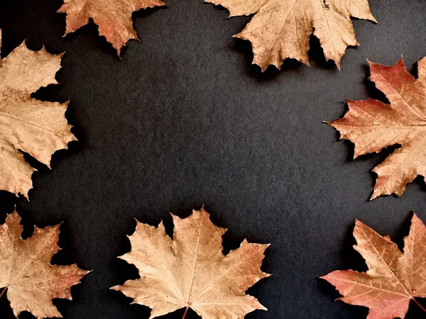 Herbstblätter Sind Golden Auf Schwarzem Hintergrund Blätterrahmen Für Text Kopierraum — Stockfoto