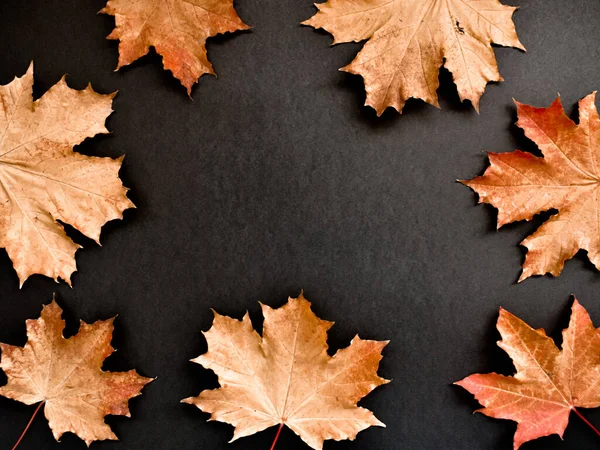 Herbstblätter Sind Golden Auf Schwarzem Hintergrund Blätterrahmen Für Text Kopierraum — Stockfoto